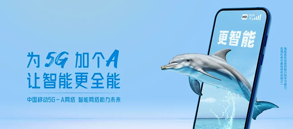 漳浦县漳浦县绥安镇 移动宽带